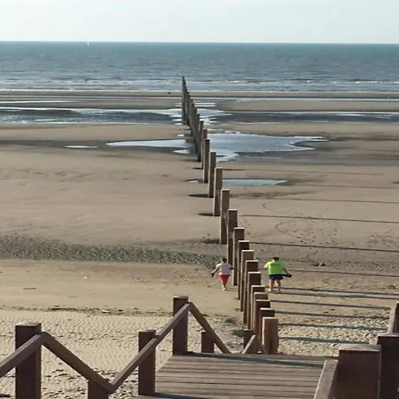 Near Marina Nieuwpoort