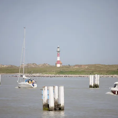 Near Marina Nieuwpoort